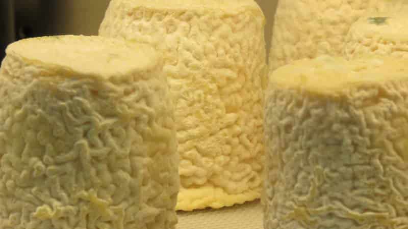 Chez François 8 chez françois