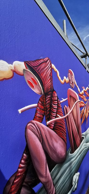 loraine motti - streetart à bordeaux - bordeaux confidentiel