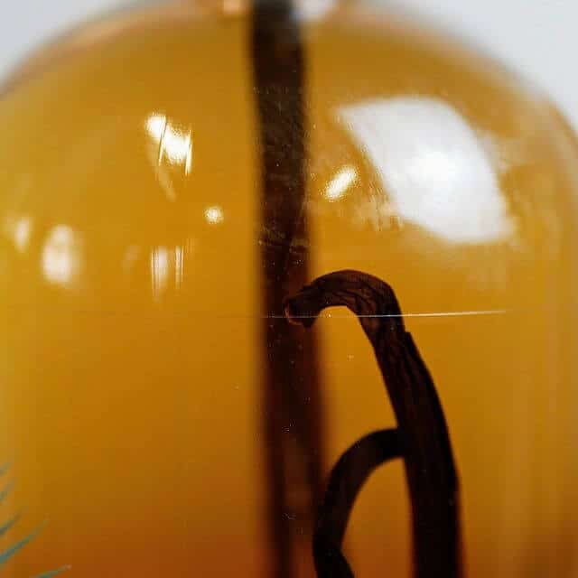 MAMA SAMA 4 mama sama - bordeaux confidentiel