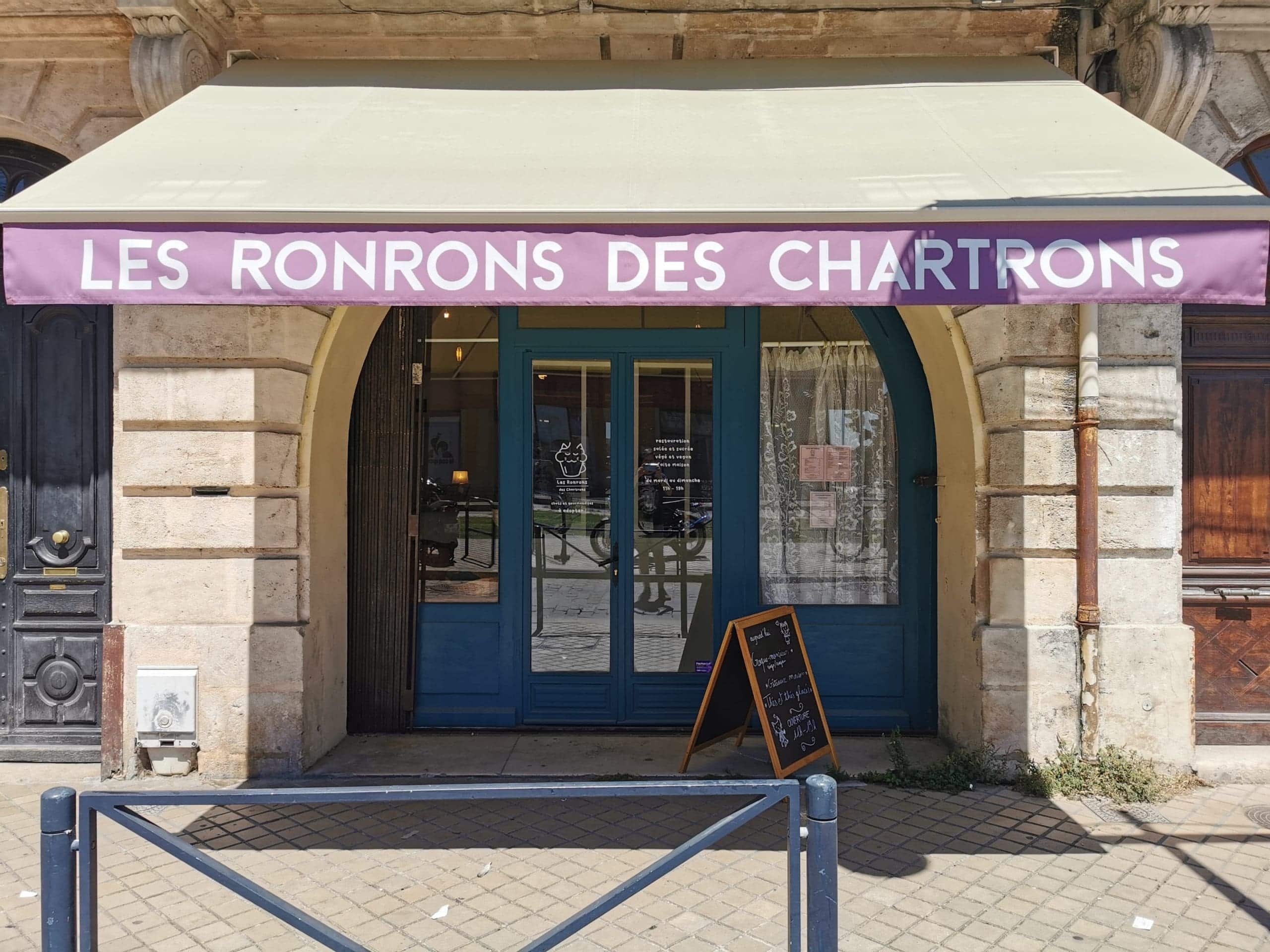 Premier bar à chats d&rsquo;adoption à Bordeaux : ça ronronne aux Chartrons