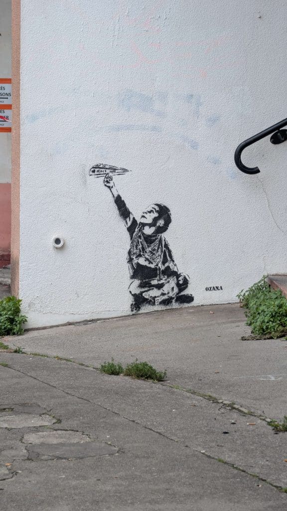 Ozana 13 Ozana street art bordeaux 13